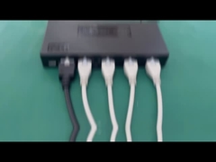 das Bewegen der Hubsäule-25A 4 synchron durch Fernkontrolleur Automatic Swim Spa bedeckt